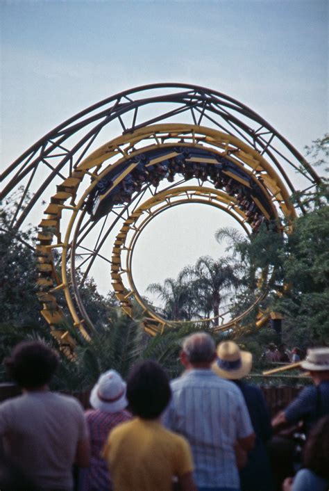 Image result for Python Busch Gardens