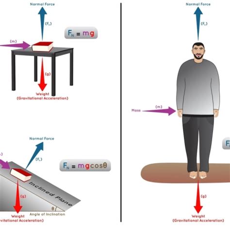 Image result for Normal Force Examples