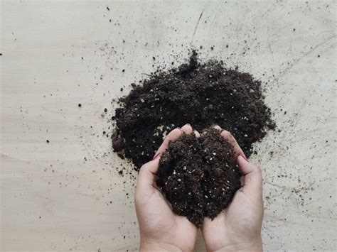 Earth Ground Examples 的图像结果