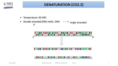 Image result for PCR Introduction
