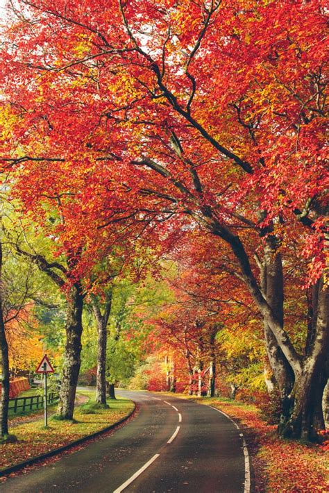 Fall 的图像结果