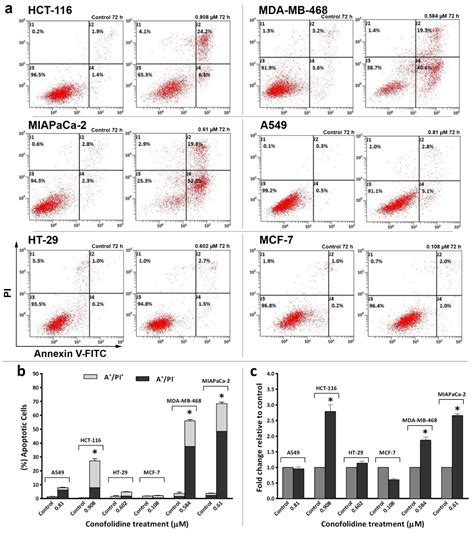 Conofolidine: A Natural Plant Alkaloid That Causes Apoptosis and ...