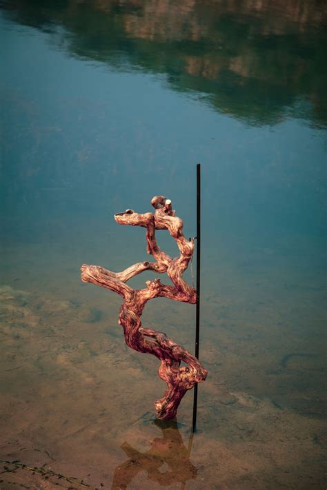 This brand is leading the revival of the indigenous art of Kutum Katam ...