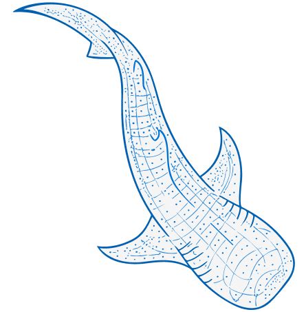 Image result for How to Use Tkinter in Python