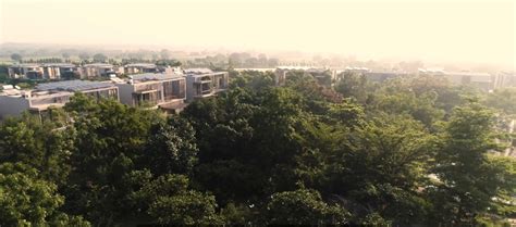 Phytoncides Benefits and Forest Bathing (Shinrin-Yoku): How it helps ...