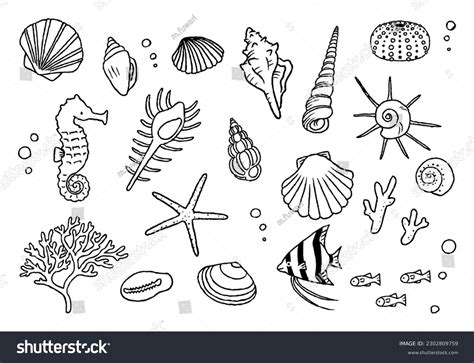 Shell Drawing 的图像结果