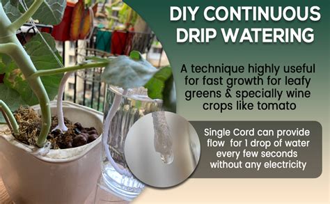NIVAVE Pro - Plants Automatic Drip Watering Wick Cord Spike for 15-30 ...