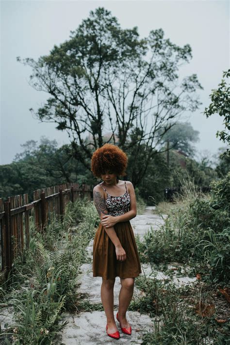 Image result for Dynamic Equilibrium Model Kit