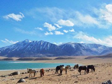 Beautiful 4 Days 3 Nights Leh Tour Package | leh, new delhi Trip ...