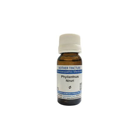 Phyllanthus Niruri Q Mother Tincture - 30 ml – ShopHomeo®