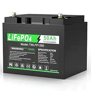 ARyee 12V 50Ah LiFePO4 Battery 2000+ Deep Cycle Lithium Iron Phosphate ...