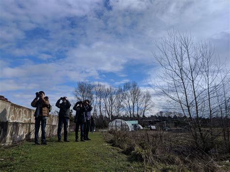 Volunteer - Birds Connect Seattle