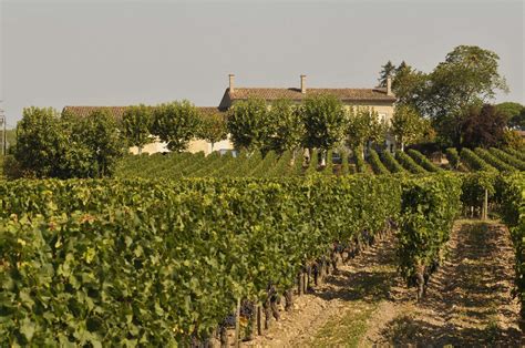 The best Bordeaux wines of 2022