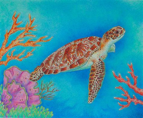 Image result for Coral Reef Drawing Simple