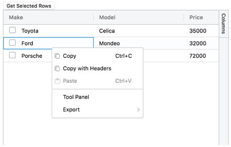 Ag Grid Angular Features 的图像结果