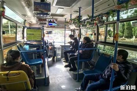 舟山公交交通情况可以在哪里查询 附2020舟山恢复交通信息_旅泊网