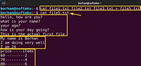 Image result for Cat Command to Create Text File in Linux