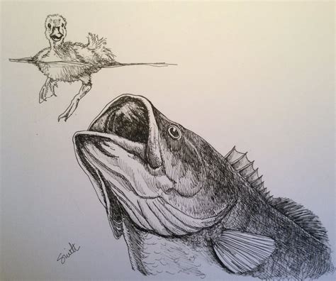 Bass Drawing