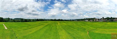 农田 的图像结果