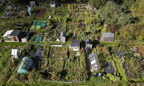 Local authorities offering allotments up to 85 times smaller than ...