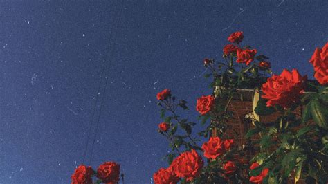 Archive Background Background Background Background Background Background Background Aesthetic