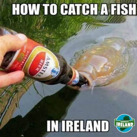 The Best 50 Fishing Memes: Funniest, Sauciest and More