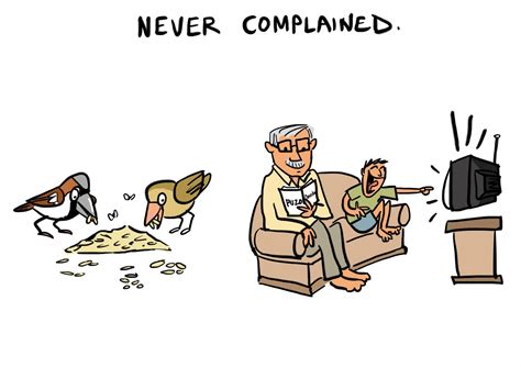 An Ode To The House Sparrow - slide7 | Nature inFocus