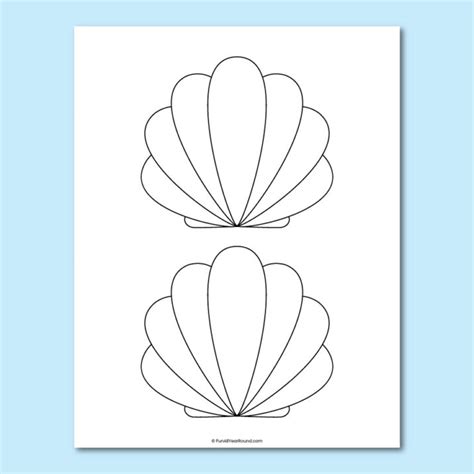 Image result for Shell Template