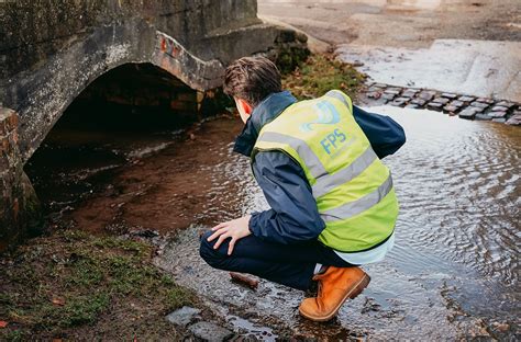 Image result for Compensatory Storage