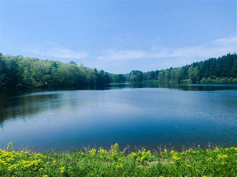 Billing & Collection FAQs | Elmira Water Board