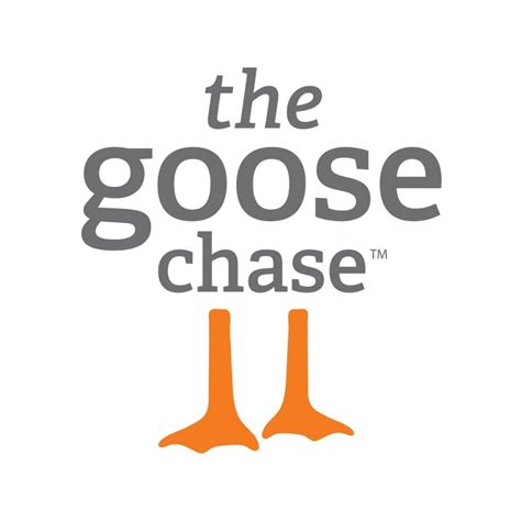 Image result for Code Name Goose Channel