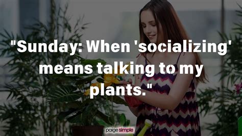 75+ Funny Sunday Quotes For A Joyful Weekend Experience – Paige Simple