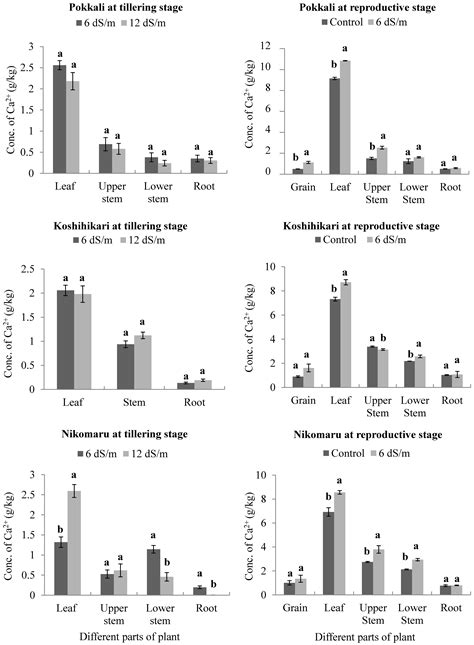 Effect of Saline Irrigation on Accumulation of Na+, K+, Ca2+, and Mg2 ...
