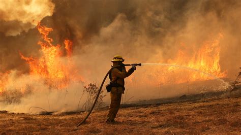No, LAFD isn't using women's handbags to put out fires | Fact check
