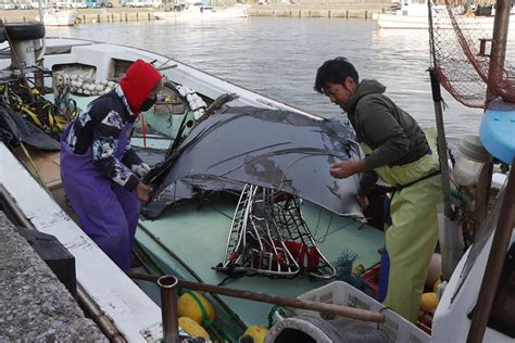 Image result for 5 bodies found in wreck of Osprey