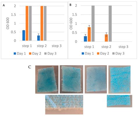 Nylon Affinity Networks Capture and Sequester Two Model Bacteria Spiked ...