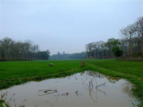 Rema-Kalenga Wildlife Sanctuary (Sylhet City) - 2021 What to Know ...