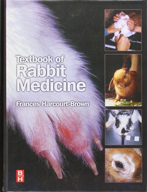 Buy Textbook of Rabbit Medicine (Old Edition) Book Online at Low Prices ...
