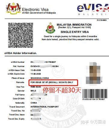 2022年马来西亚电子签证入境最新攻略 - 知乎