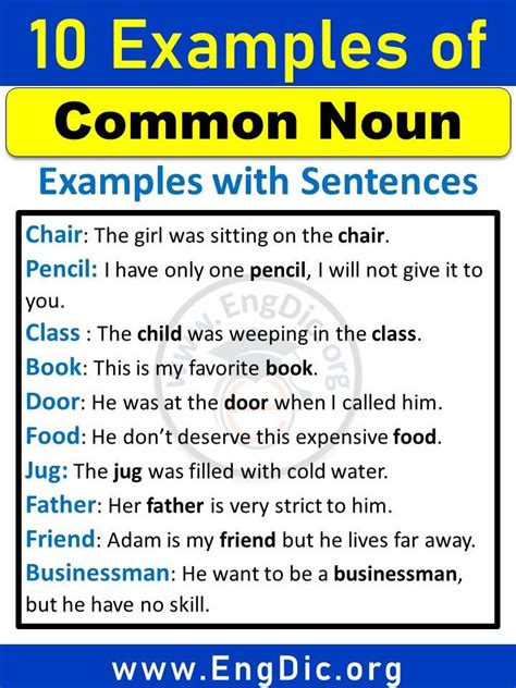 10 examples of common nouns in English with PDF - EngDic