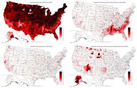 Race Distribution Map 的图像结果