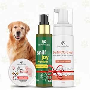 Buy Enchanting Pets Grooming Kit, DerMICO Clean Waterless Foam Shampoo ...