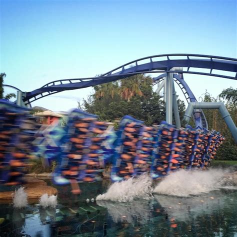 Image result for Python Busch Gardens