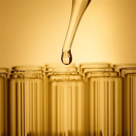 Skin Longevity | Skincare for Visible Age Reversal | Estée Lauder