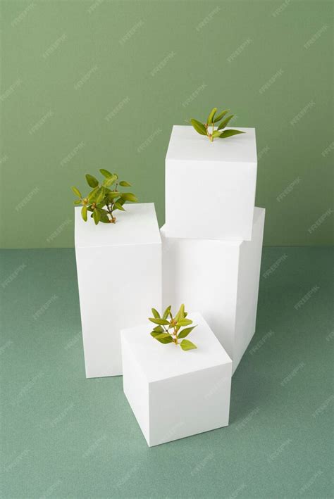 Sustainability concept with geometric forms and growing plant | Free Photo