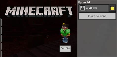 Image result for Minecraft Error Main Menu Screen