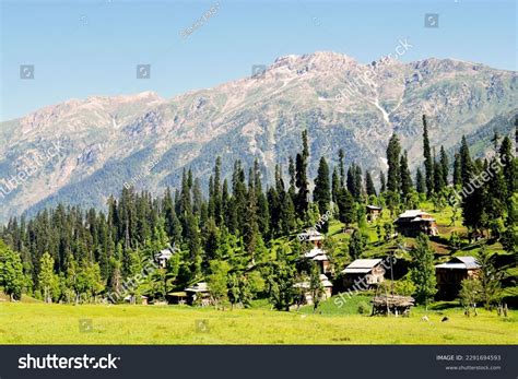 2 Agriculture in pakistan map 图片、库存照片和矢量图 | Shutterstock