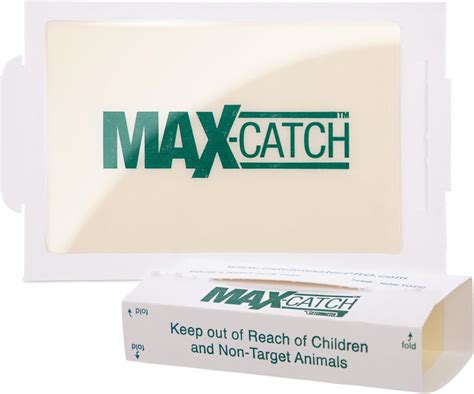 Brandclub - Catchmaster Max-Catch Mouse & Insect Glue Trap 36pk, Mouse ...