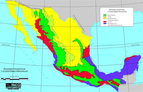 Mapa de las regiones naturales de México - Mapa de México