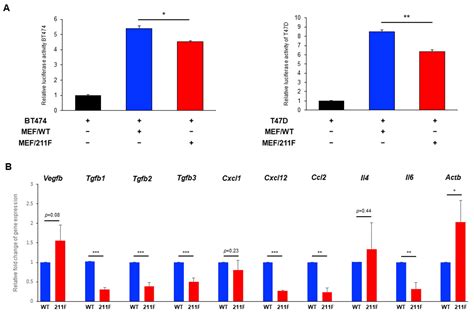 The Functions of PCNA in Tumor Stemness and Invasion